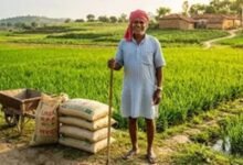 बिहार में खाद बिक्री व्यवस्था होगी डिजिटल, Farmer ID से होगी उर्वरक की खरीदारी