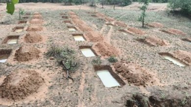 मनरेगा से बदली निम्मलगुड़ा की तस्वीर-500 जल अवशोषण ट्रेंच से बढ़ा भू-जल स्तर, 1,801 मानव-दिवस का मिला रोजगार मनरेगा से बदली निम्मलगुड़ा की तस्वीर-500 जल अवशोषण ट्रेंच से बढ़ा भू-जल स्तर, 1,801 मानव-दिवस का मिला रोजगार
