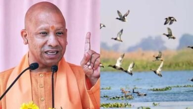 यूपी की सात और वेटलैंड बनेंगी रामसर साइट, अंतरराष्ट्रीय पहचान मिलने से बढ़ेगा संरक्षण