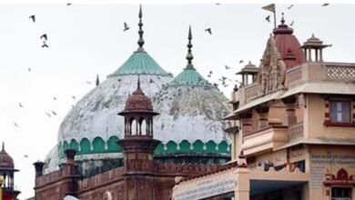 मथुरा श्रीकृष्ण जन्मभूमि विवाद: ‘लीड केस’ पर सुप्रीम कोर्ट ने हाईकोर्ट भेजने के दिए संकेत मथुरा श्रीकृष्ण जन्मभूमि विवाद: ‘लीड केस’ पर सुप्रीम कोर्ट ने हाईकोर्ट भेजने के दिए संकेत