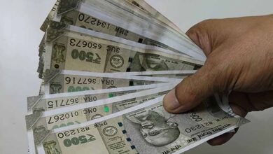 MP में कर्मचारियों की पेंशन पर बड़ा फैसला, सेवा अवधि का मुद्दा तय करेगी हाईकोर्ट की बड़ी बेंच MP में कर्मचारियों की पेंशन पर बड़ा फैसला, सेवा अवधि का मुद्दा तय करेगी हाईकोर्ट की बड़ी बेंच
