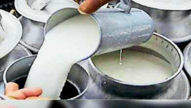 देश में अव्वलः 38.8 मिलियन मीट्रिक टन दुग्ध उत्पादन के साथ उत्तर प्रदेश शीर्ष पर देश में अव्वलः 38.8 मिलियन मीट्रिक टन दुग्ध उत्पादन के साथ उत्तर प्रदेश शीर्ष पर