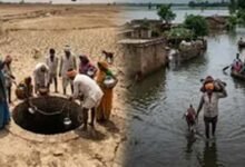 यूपी में मानसून की बारिश असमान, 7 जिलों में सामान्य से 40% कम वर्षा