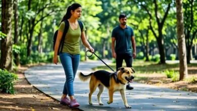 लखनऊ में पालतू कुत्ते-बिल्ली पालने के नए नियम लागू, लाइसेंस नहीं तो भारी जुर्माना
