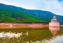 राजगीर बना बिहार का बड़ा इको-टूरिज्म हब, 2025 में 24 लाख से ज्यादा पर्यटक पहुंचे