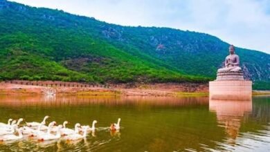 राजगीर बना बिहार का बड़ा इको-टूरिज्म हब, 2025 में 24 लाख से ज्यादा पर्यटक पहुंचे राजगीर बना बिहार का बड़ा इको-टूरिज्म हब, 2025 में 24 लाख से ज्यादा पर्यटक पहुंचे