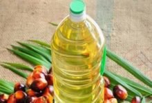 बिहार के किसान तेलंगाना में सीखेंगे पाम ऑयल खेती, तेलंगाना के किसान मखाना सीखेंगे