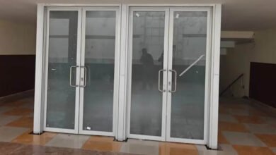 BWF वर्ल्ड चैंपियनशिप से पहले दिल्ली स्टेडियम में हाईटेक सुरक्षा, कबूतरों और बंदरों से निपटने के खास इंतजाम