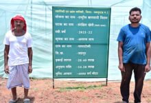 संरक्षित खेती और उद्यानिकी से जशपुर के किसान अनारथ साय ने लिखी आत्मनिर्भरता की नई कहानी