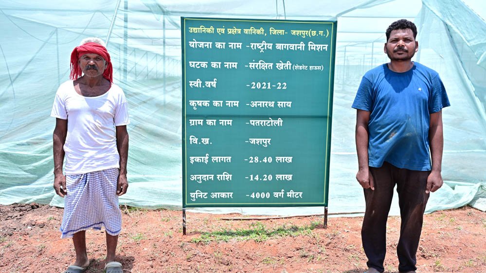 संरक्षित खेती और उद्यानिकी से जशपुर के किसान अनारथ साय ने लिखी आत्मनिर्भरता की नई कहानी