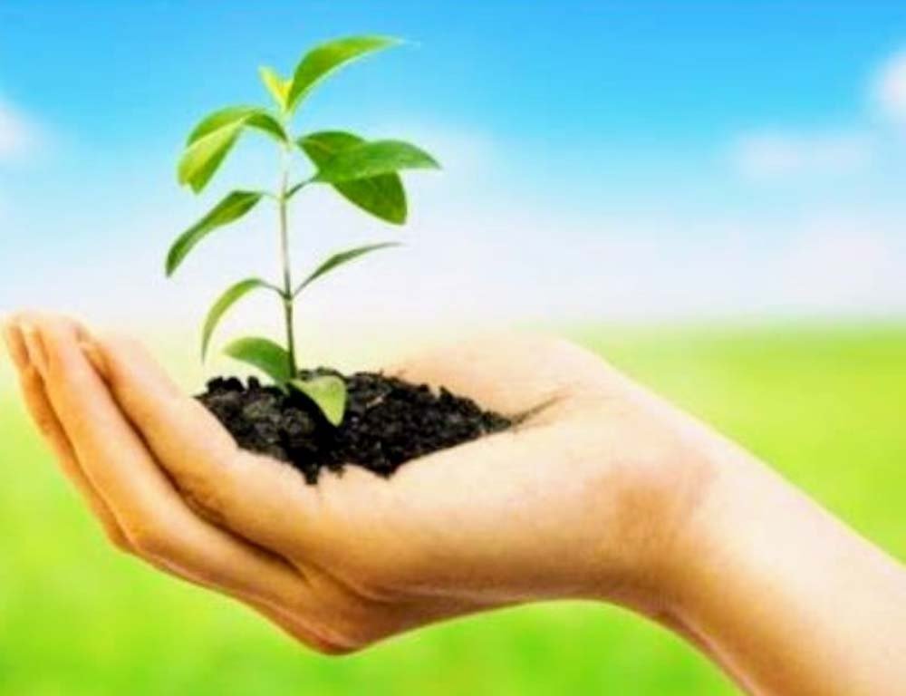 अधिमान्य पत्रकार नेतृत्व समिति का महा-वृक्षारोपण अभियान: मध्य प्रदेश में 3000 और छत्तीसगढ़ में 1000 पौधे रोपे गए अधिमान्य पत्रकार नेतृत्व समिति का महा-वृक्षारोपण अभियान: मध्य प्रदेश में 3000 और छत्तीसगढ़ में 1000 पौधे रोपे गए