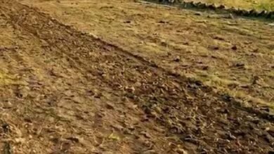 लखनऊ में 2 हजार करोड़ की सरकारी जमीन घोटाले से मचा हड़कंप, 10 अफसर जांच के घेरे में लखनऊ में 2 हजार करोड़ की सरकारी जमीन घोटाले से मचा हड़कंप, 10 अफसर जांच के घेरे में
