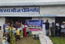 आजीविका डबरी और नवा तरिया से ग्रामीण अर्थव्यवस्था को मिल रहा नया आधार