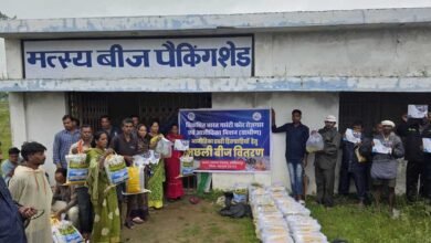 आजीविका डबरी और नवा तरिया से ग्रामीण अर्थव्यवस्था को मिल रहा नया आधार