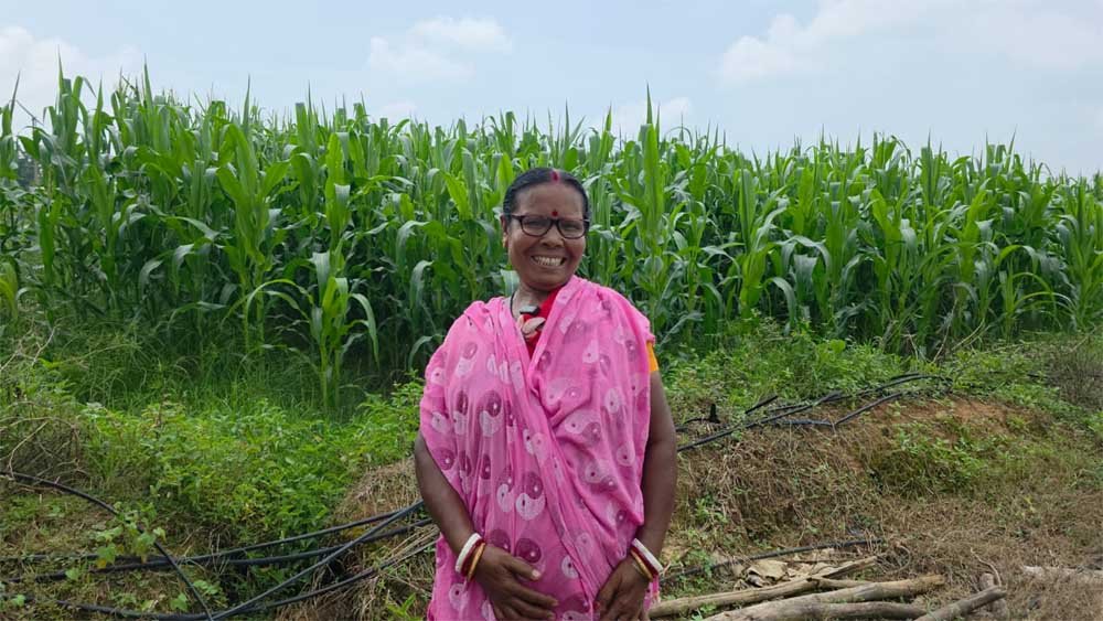 “बहनों का मान, विष्णु भैया का सम्मान—महिलाओं के सशक्तिकरण से समृद्ध छत्तीसगढ़ महान” “बहनों का मान, विष्णु भैया का सम्मान—महिलाओं के सशक्तिकरण से समृद्ध छत्तीसगढ़ महान”