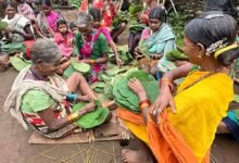 Bastar में सुरक्षा से विकास तक बदली तस्वीर, पुलिस कोऑर्डिनेशन सेंटर में अधिकारियों ने दिया प्रेजेंटेशन
