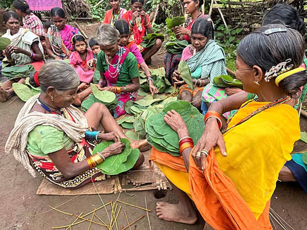 Bastar में सुरक्षा से विकास तक बदली तस्वीर, पुलिस कोऑर्डिनेशन सेंटर में अधिकारियों ने दिया प्रेजेंटेशन Bastar में सुरक्षा से विकास तक बदली तस्वीर, पुलिस कोऑर्डिनेशन सेंटर में अधिकारियों ने दिया प्रेजेंटेशन