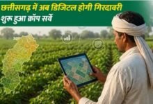 CG में खेतों के डिजिटल रिकॉर्ड से बदलेगी कृषि व्यवस्था, किसानों को मिलेगा फायदा