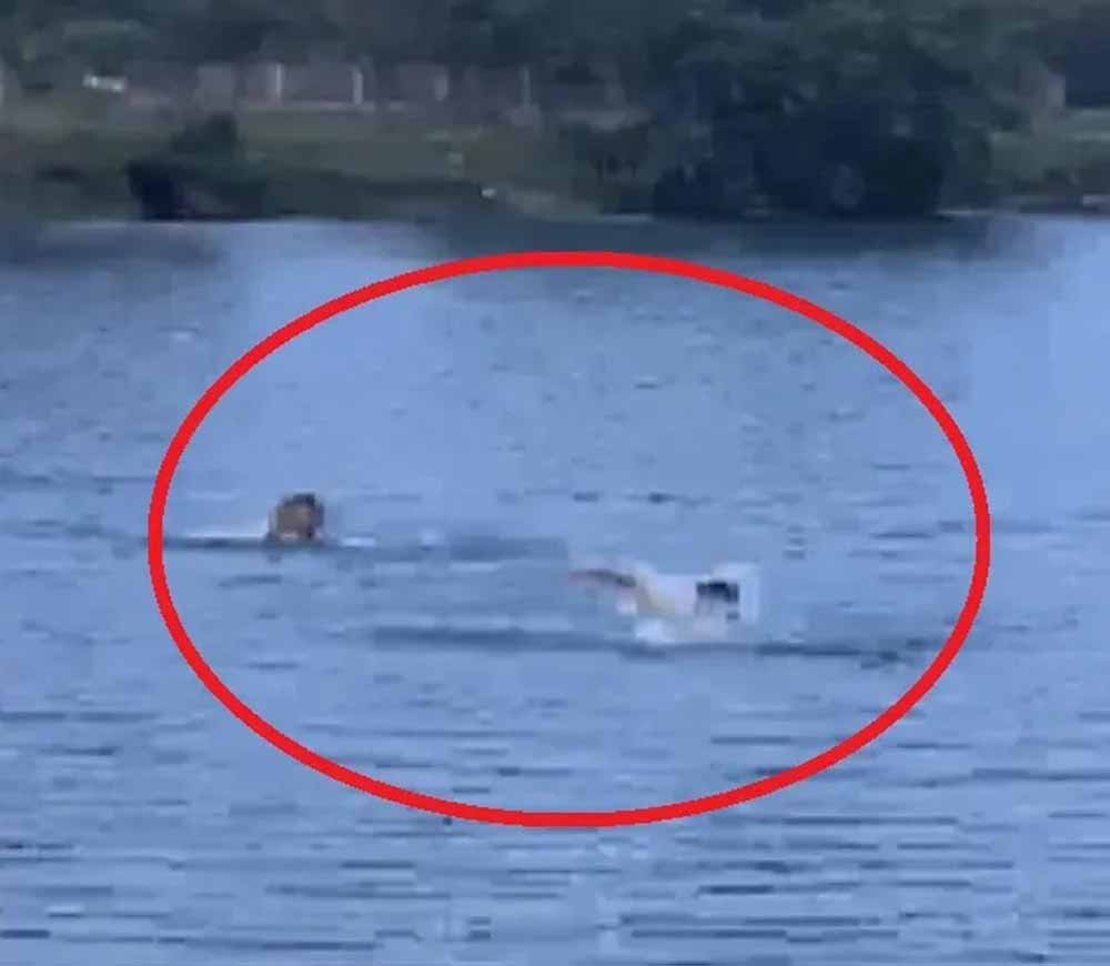 ब्लू वॉटर में डूबे आदिल की तलाश जारी, 72 घंटे बाद भी नहीं मिला सुराग ब्लू वॉटर में डूबे आदिल की तलाश जारी, 72 घंटे बाद भी नहीं मिला सुराग