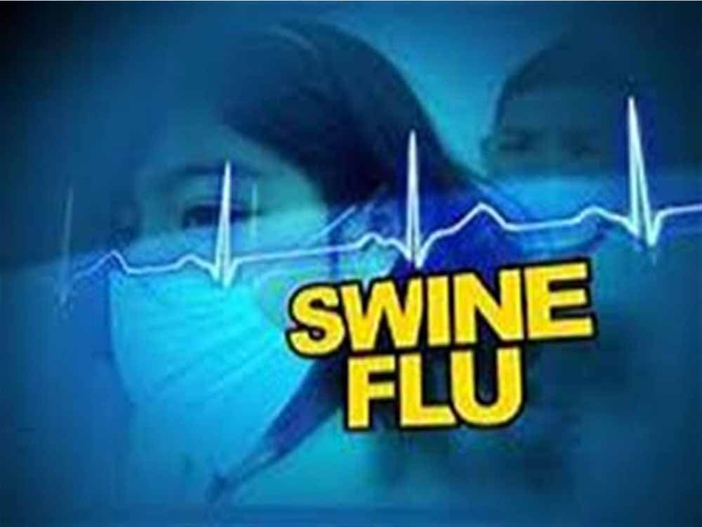 बिलासपुर में स्वाइन फ्लू की एंट्री, 7 मरीज मिलने से स्वास्थ्य विभाग अलर्ट बिलासपुर में स्वाइन फ्लू की एंट्री, 7 मरीज मिलने से स्वास्थ्य विभाग अलर्ट