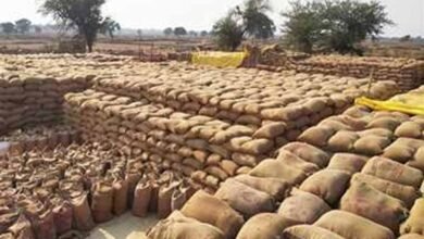 धान खरीदी केंद्र में ₹1.31 करोड़ की गड़बड़ी, संस्था प्रबंधक समेत दो गिरफ्तार