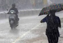 CG में मानसून पकड़ेगा रफ्तार, अगले 5 दिन जमकर बरसेंगे बादल