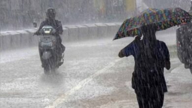 CG में मानसून पकड़ेगा रफ्तार, अगले 5 दिन जमकर बरसेंगे बादल