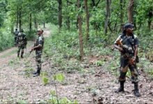 CG सरकार का बड़ा सहारा, माओवादी हिंसा में अपनों को खोने वाले 15 परिवारों को मिले ₹2.25 करोड़