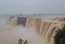 CG में लगातार बारिश से उफान पर इंद्रावती नदी, दर्जनों गांवों का टूटा संपर्क