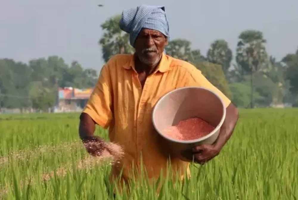 अम्बिकापुर में राष्ट्रीय खाद्य सुरक्षा एवं पोषण मिशन से किसानों को मिल रहा संबल अम्बिकापुर में राष्ट्रीय खाद्य सुरक्षा एवं पोषण मिशन से किसानों को मिल रहा संबल