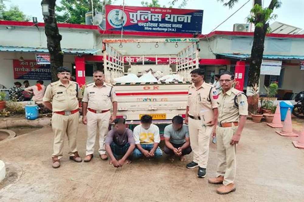 मध्यप्रदेश पुलिस की चोरी एवं नकबजनी के विरूद्ध प्रभावी कार्यवाही मध्यप्रदेश पुलिस की चोरी एवं नकबजनी के विरूद्ध प्रभावी कार्यवाही