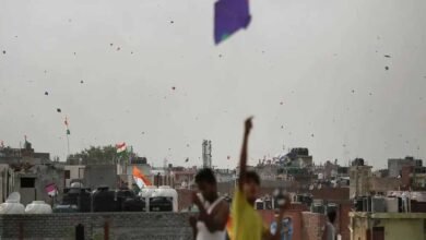 स्वतंत्रता दिवस पर पतंगबाजी को लेकर अलर्ट, Tata Power-DDL ने बिजली तारों से दूर रहने की अपील
