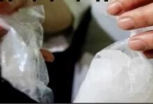 इंदौर में MD ड्रग्स का बढ़ता जाल, 81 तस्कर गिरफ्तार; राजस्थान के 3 जिलों तक फैले तार