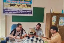 शुपालन केसीसी से धमतरी के 93 पशुपालकों को मिली 98.62 लाख की वित्तीय संजीवनी