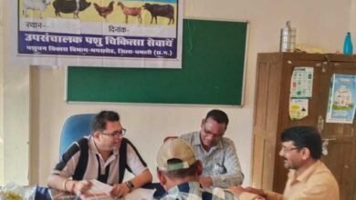 शुपालन केसीसी से धमतरी के 93 पशुपालकों को मिली 98.62 लाख की वित्तीय संजीवनी