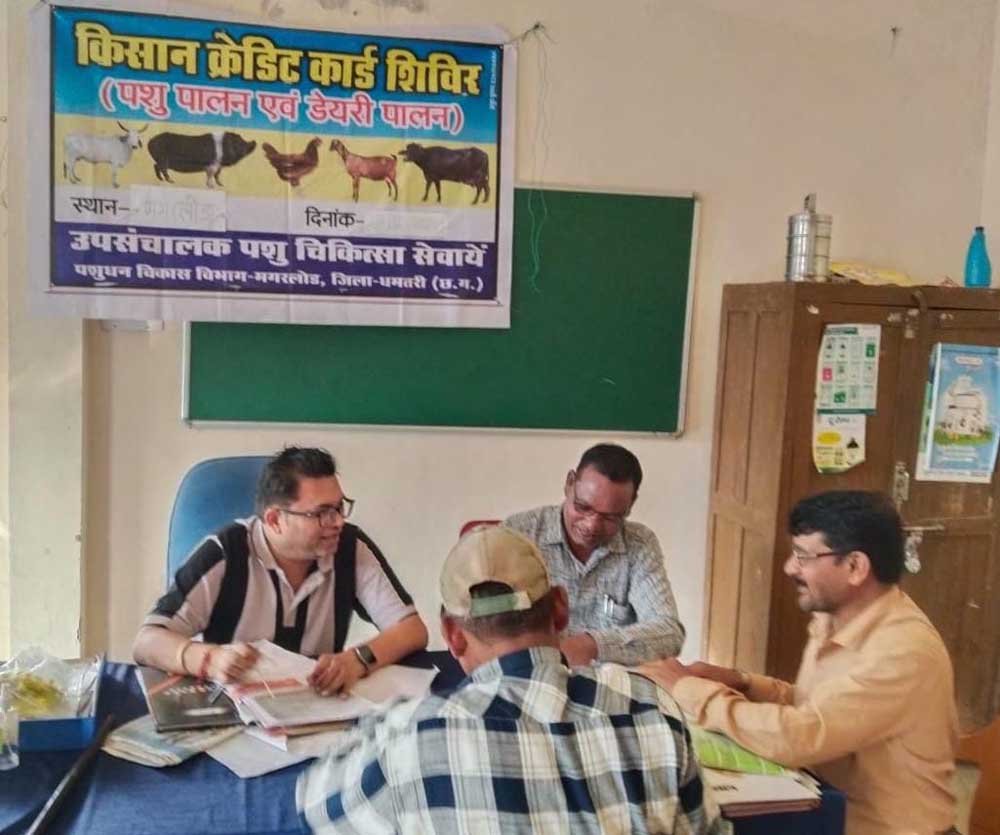 शुपालन केसीसी से धमतरी के 93 पशुपालकों को मिली 98.62 लाख की वित्तीय संजीवनी शुपालन केसीसी से धमतरी के 93 पशुपालकों को मिली 98.62 लाख की वित्तीय संजीवनी