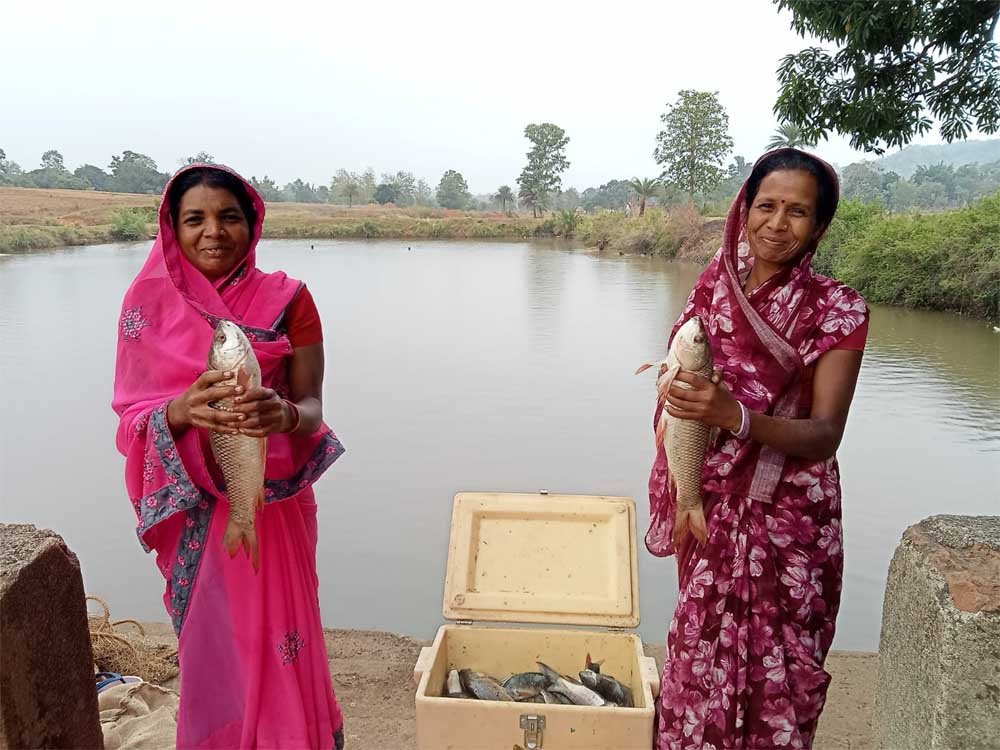 विष्णु भैया की पहल से तालाब बना महिलाओं की तरक्की का आधार विष्णु भैया की पहल से तालाब बना महिलाओं की तरक्की का आधार