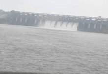 शहडोल में बाणसागर बांध के 8 गेट खुले, जलस्तर खतरे के निशान तक पहुंचा