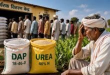 MP के किसानों को खाद के लिए नहीं होगी परेशानी, सरकार ने जारी किए WhatsApp और हेल्पलाइन नंबर