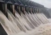 Jabalpur में उफान पर नर्मदा, बरगी बांध के 13 गेट खोले गए