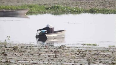 बड़ा तालाब में कीटनाशक छिड़काव पर NGT सख्त, कलेक्टर और नगर निगम को नोटिस बड़ा तालाब में कीटनाशक छिड़काव पर NGT सख्त, कलेक्टर और नगर निगम को नोटिस