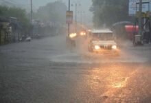 MP Weather: भोपाल-जबलपुर समेत कई जिलों में भारी बारिश का अलर्ट, IMD ने जारी की चेतावनी