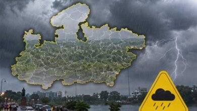 MP में फिर बिगड़ा मौसम, सभी जिलों में बारिश का येलो अलर्ट; IMD की चेतावनी MP में फिर बिगड़ा मौसम, सभी जिलों में बारिश का येलो अलर्ट; IMD की चेतावनी