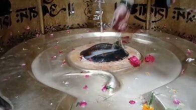 हर हर महादेव से गूंजे शिवालय, सावन के सोमवार पर आस्था का समुद्र