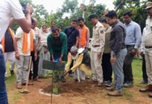 एक पेड़ माँ के नाम अभियान से बदली उजड़ी वन भूमि की तस्वीर