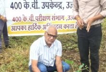 विश्व प्रकृति संरक्षण दिवस पर एमपी ट्रांसको के सब-स्टेशन में हुआ सामूहिक पौध-रोपण