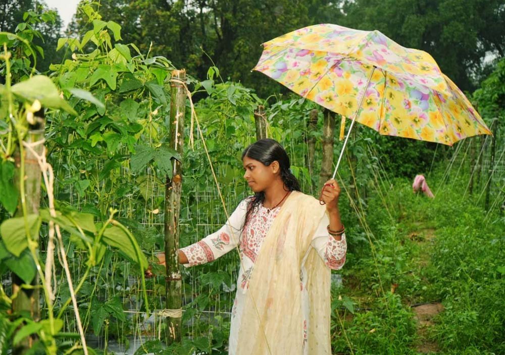 ड्रिप विधि से सब्जी की खेती ने बनाया ‘लखपति दीदी’, सालाना डेढ़ लाख की कमाई ड्रिप विधि से सब्जी की खेती ने बनाया ‘लखपति दीदी’, सालाना डेढ़ लाख की कमाई