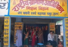 सीईओ अनुपमा आनंद ने झलप में पीएम सूर्य घर योजना और बिहान समूह की आजीविका गतिविधियों का किया निरीक्षण