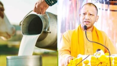 प्रदेश के सभी जनपदों में होगा डेयरी कॉन्क्लेव-2026 का आयोजन प्रदेश के सभी जनपदों में होगा डेयरी कॉन्क्लेव-2026 का आयोजन