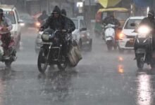 MP में दो मानसूनी सिस्टम एक्टिव, भोपाल से रीवा तक झमाझम बारिश का अलर्ट